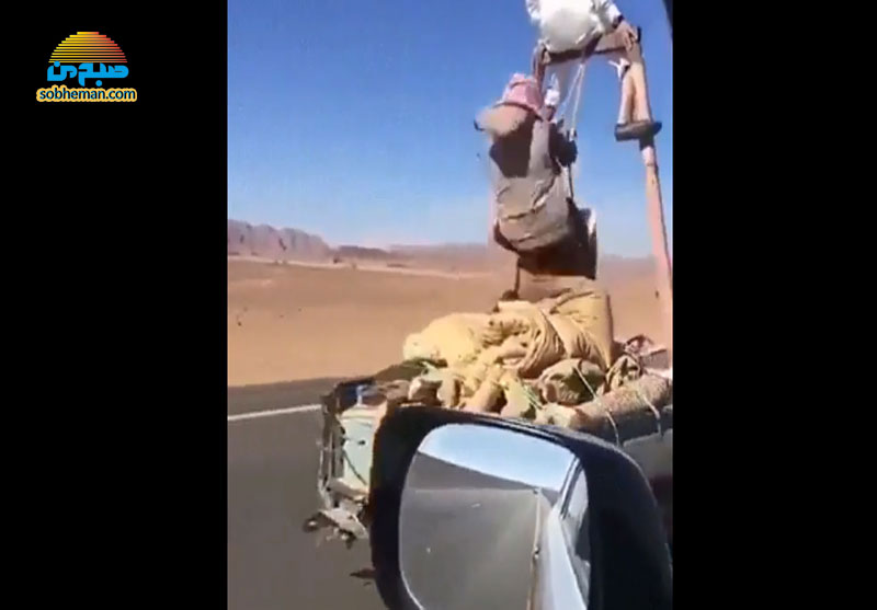 (ویدئو) تاب‌بازی یک اماراتی بر روی خودروی در حال حرکت!