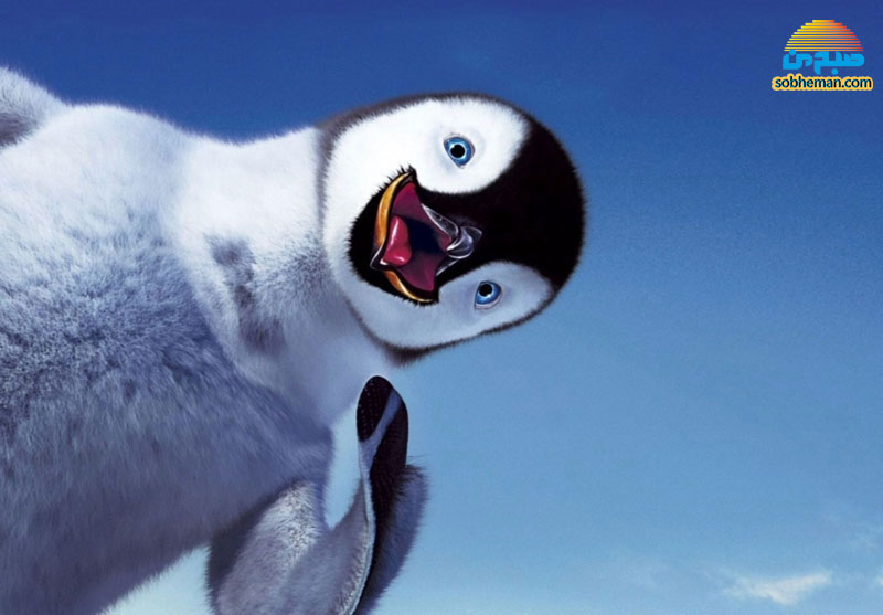 (عکس) واکنش جالب پنگوئن‌ها در مقابل آینه