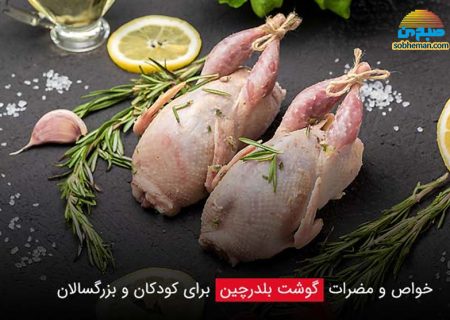 آشنایی با فواید و مضرات گوشت بلدرچین