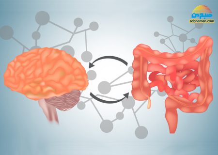 بررسی تأثیر استرس و اضطراب بر دستگاه گوارش