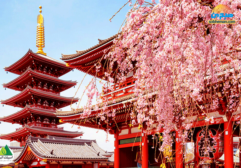 قدیمی‌ترین معبد در ژاپن