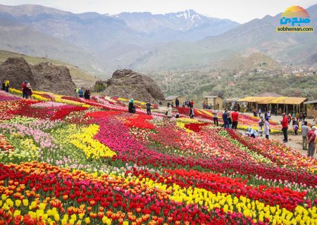 بهترین دشت گل‌های ایران در فصل بهار