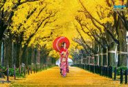 از احترام و شکیبایی تا سنت‌های دشوار؛ آشنایی با فرهنگ مردم ژاپن
