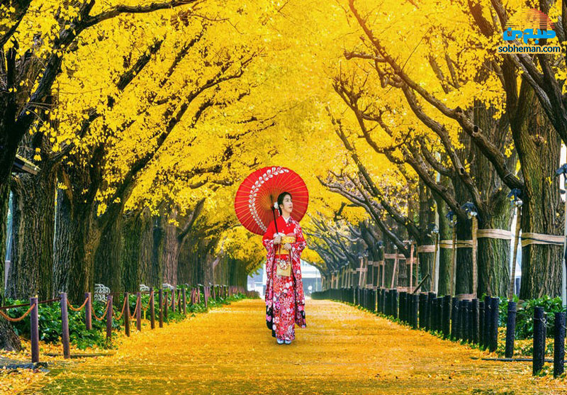 از احترام و شکیبایی تا سنت‌های دشوار؛ آشنایی با فرهنگ مردم ژاپن
