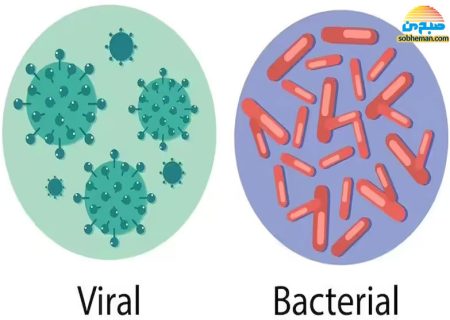 باکتری و ویروس چه تفاوتی با یکدیگر دارند؟