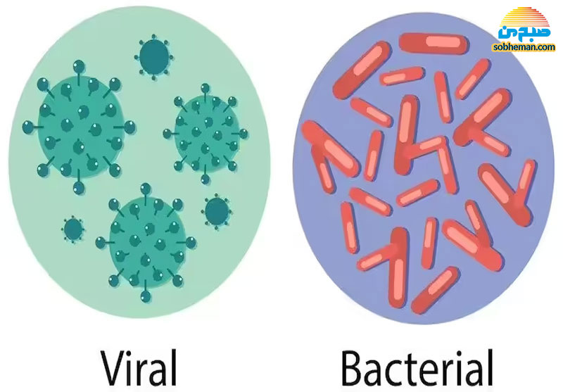باکتری و ویروس چه تفاوتی با یکدیگر دارند؟